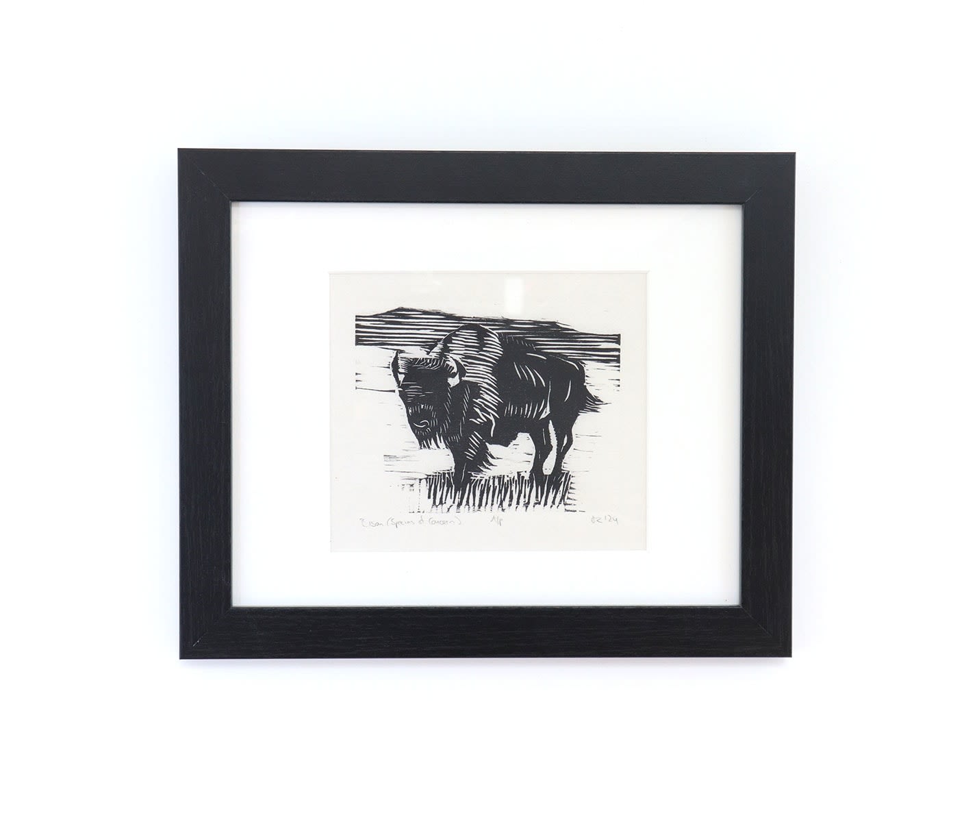 Jacob Cowgill, Bison (Species of Concern), 2024 Radius Gallery