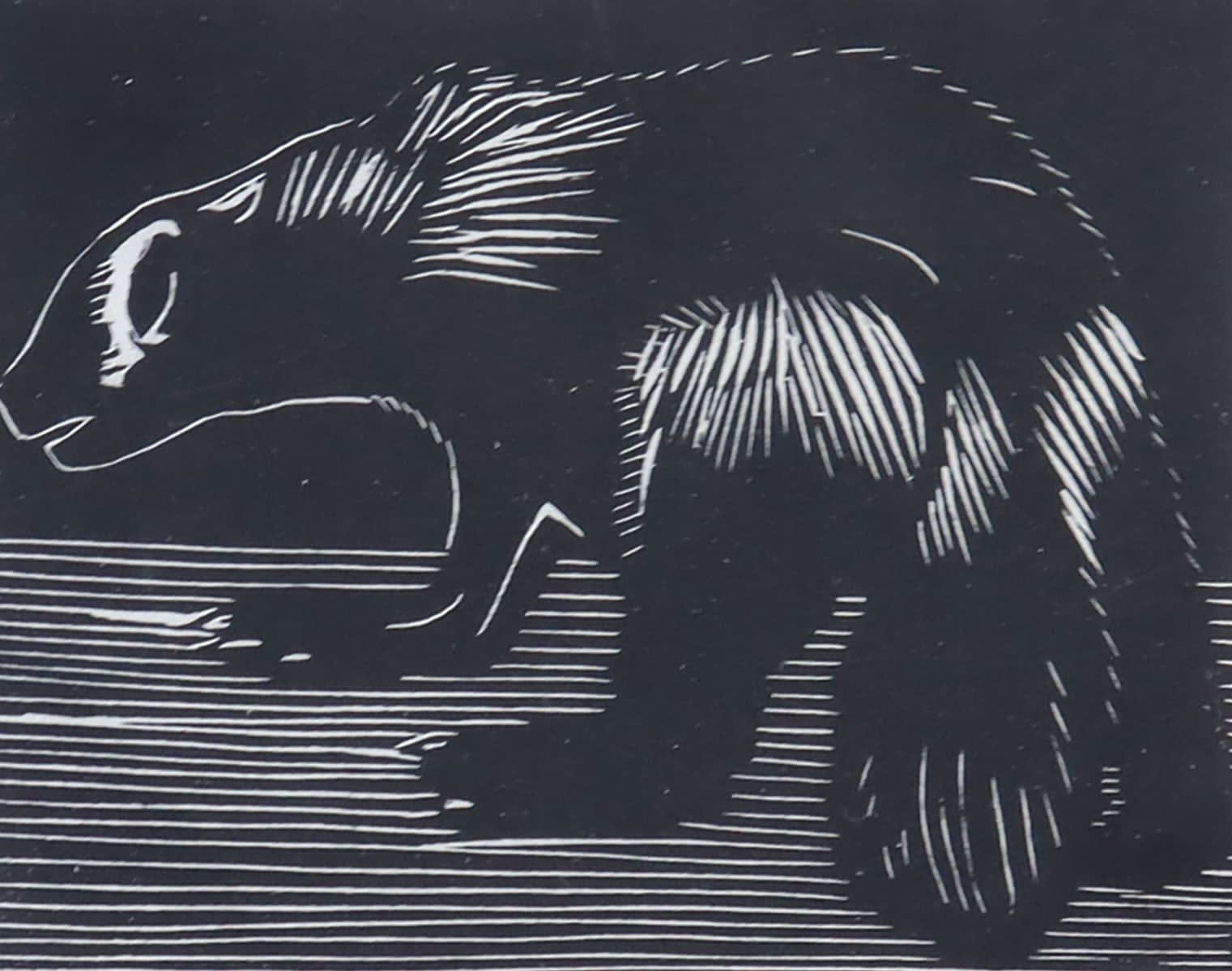 Jacob Cowgill, Wolverine (Species of Concern), 2024 Radius Gallery