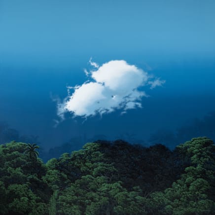 The Lost Landscape (Series), 2024 - 2025