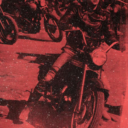 Brandon Bike (Priscilla Pink), 2008