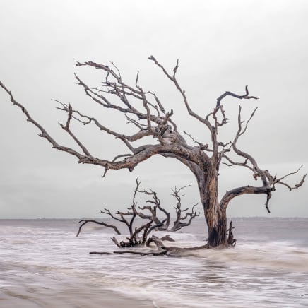High Tide, 2024