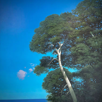 The Lost Landscape (Series), 2024