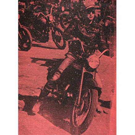Brando Bike (Priscilla Pink), 2008