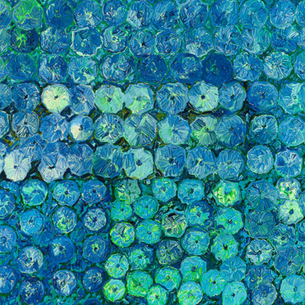 Morning Glory 1, 2004