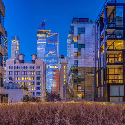Rising from the Grass - Highline, NYC, 2020