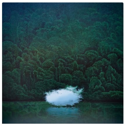 The Lost Landscape (Series), 2025