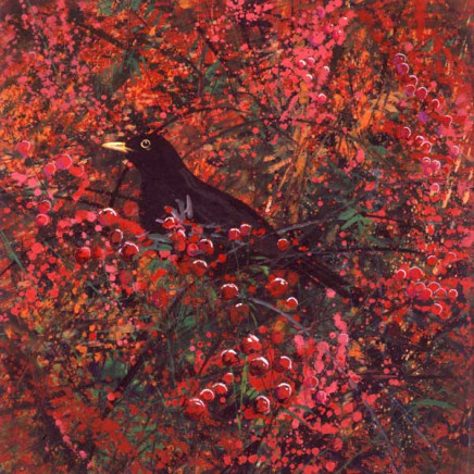 Paul Evans - Berries and blackbird