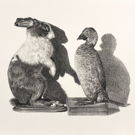Yvonne East, Shadow self, rabbit and duck, 2024
