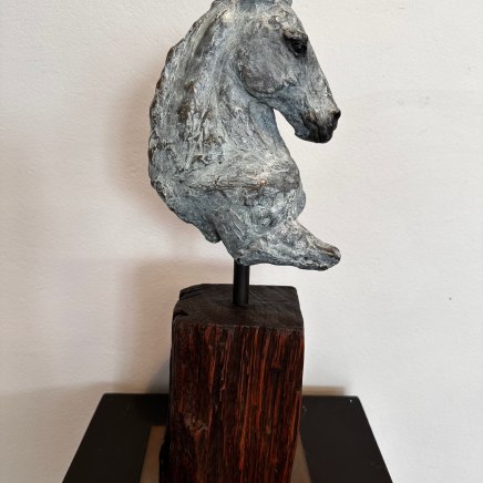 Helena Lillywhite, Equus I, 2024