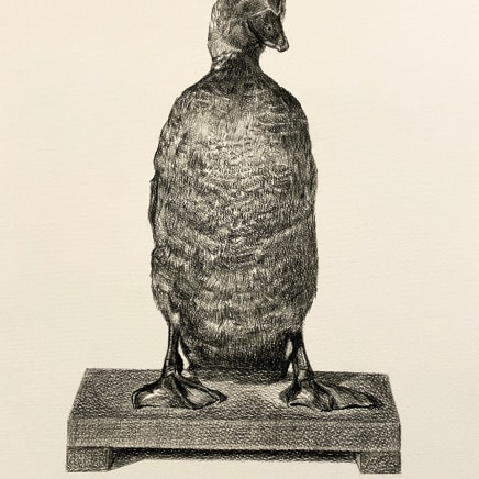 Yvonne East, Musk Duck (Mr Bunyip), 2024