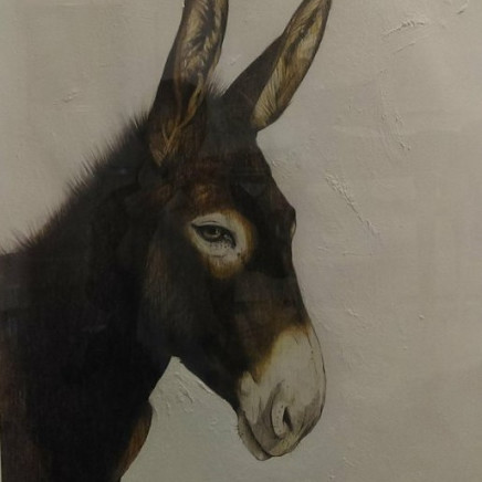 Karen Barbouttis, The Donkeys of Psarou, Mykonos, 2018