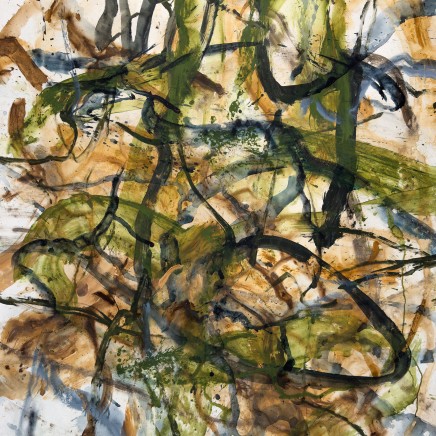 Chris Wise, Disco 250, November 2024