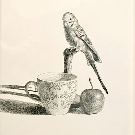Yvonne East, Budgerigar, apple, teacup, 2023