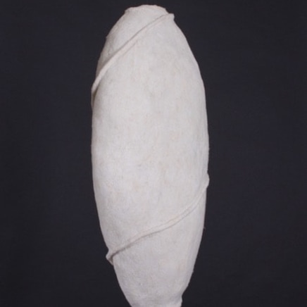 Denise Lithgow, Cocoon 5/22 No.3, 2022
