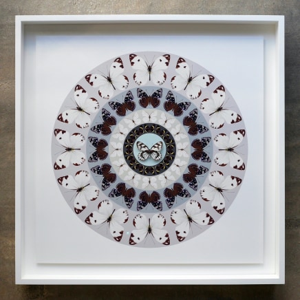 Iain Cadby, Target Mandala (Pale Lilac) , 2020