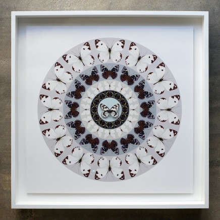 Iain Cadby, Target Mandala (Grey and Lavender), 2020