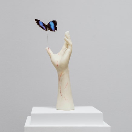Nir Hod - Scratches of Butterfly, 2023