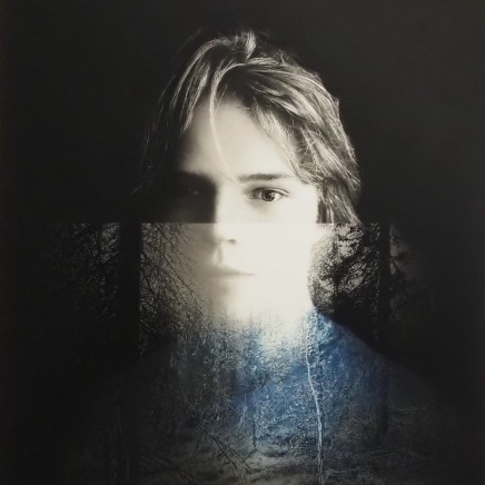 Yuichiro Sato - The Light in the Forest, 2024
