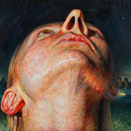 Johanna Saikkonen - Stargazing, 2024-2025