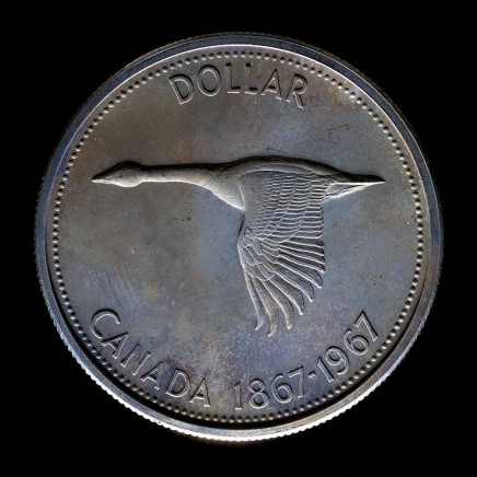William Eakin, Colville goose 6179 (silver dollar), 2013