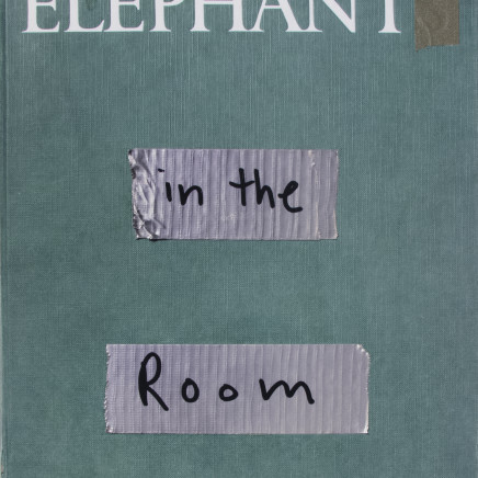 Paul Butler, Elephant in the Room, 2020