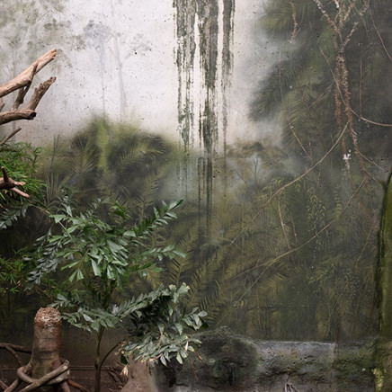 Dana Fritz, Painted Leaves and Dripping Moss, Lied Jungle, 2007