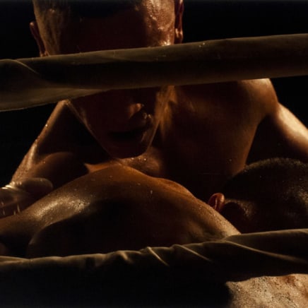 Pete Doherty, Hershey Centre, Mississauga, Ontario, [close-up of boxers between the ring's ropes], 2011