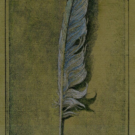 La Plume. 2015. Eau-forte réhaussée à l'aquarelle et à la gouache.