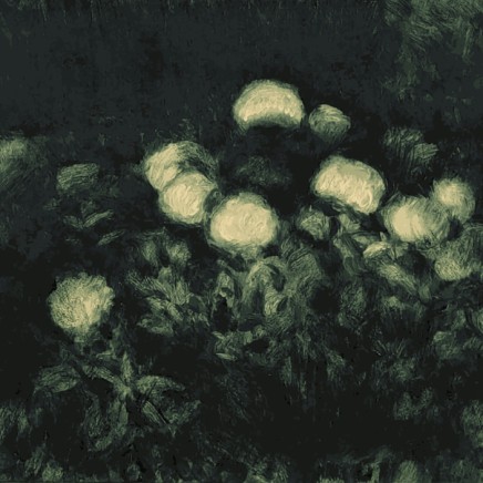 Nicolas Sage - Le Vercors, nuit, 2023
