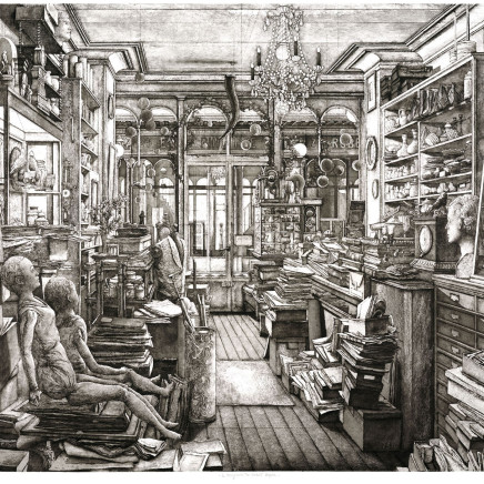 Érik Desmazières, Le Magasin de Robert Capia , 2008