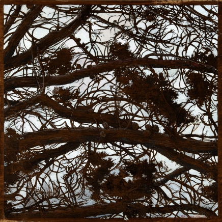 Érik Desmazières, Le Pin de Loperhet, 2013