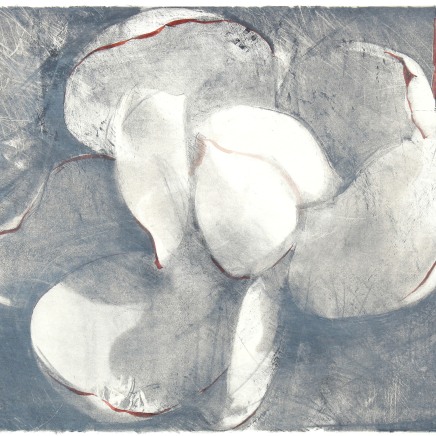 Farhad Ostovani, Magnolia, 2010-2014