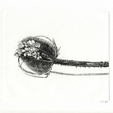 Delphine D. Garcia, 11.XI.13 bis (‘Chardon en noir’), 2013