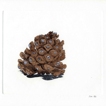Delphine D. Garcia, 20.VIII.13.2013 (La pomme de pin), 2013