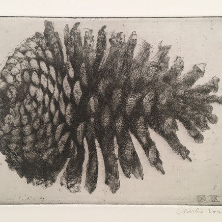 Charles Donker, Dennenappel VIII (Pomme de pin VIII), 2012