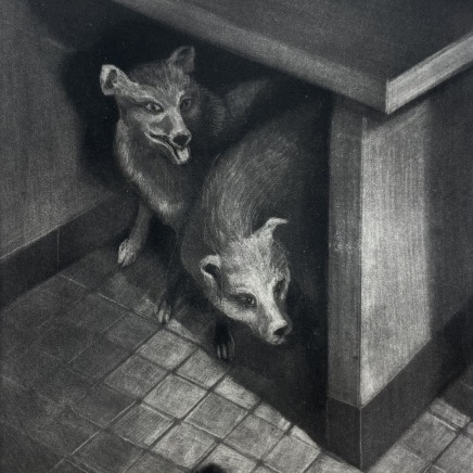Judith Rothchild, Deux renards, 2017-2018