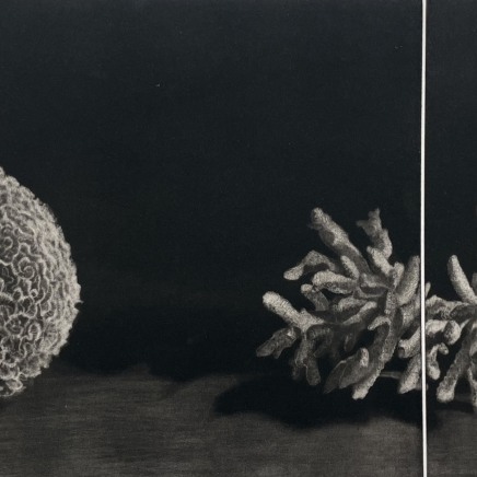 Judith Rothchild, Coraux, 2015