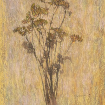 Martin Basdevant, Bouquet de statices , 2023
