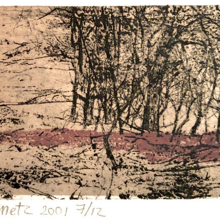 Anna Metz, Rode pad (Chemin rouge), 2001