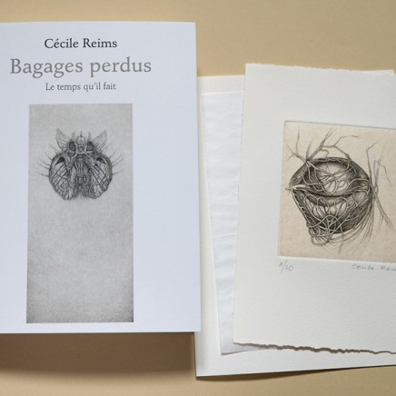 Cécile Reims, Bagages perdus, 2018