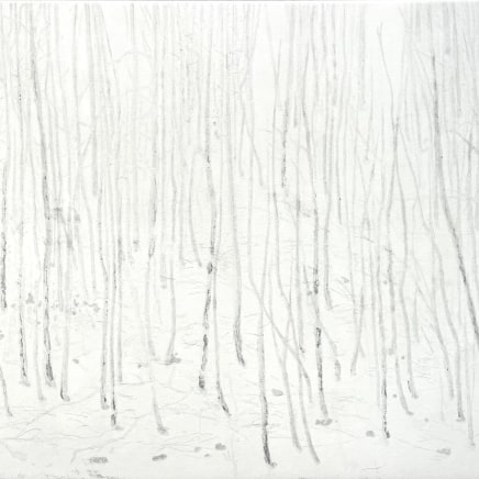 Maurice Maillard, Marchant vers les cimes, 2013