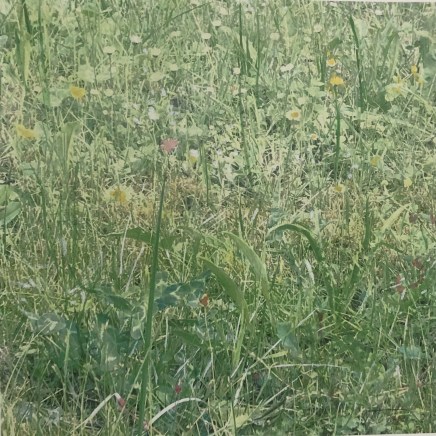 Farhad Ostovani, Primavera - 22, 2021