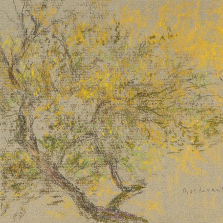 Martin Basdevant, Étude d'arbre, 2021