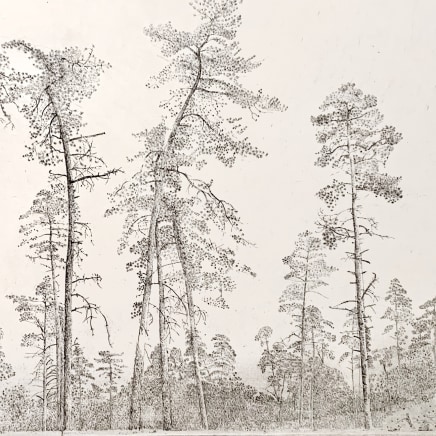 Charles Donker, Bos III (Forêt III), 1992