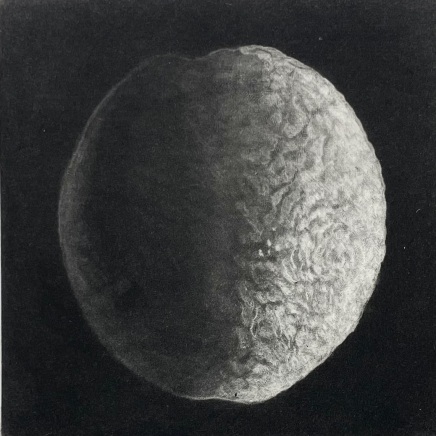 Judith Rothchild, Nocturne, 2024