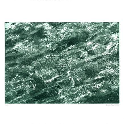 Ariane Fruit, Série Immersion - Flaque - A2, 2023