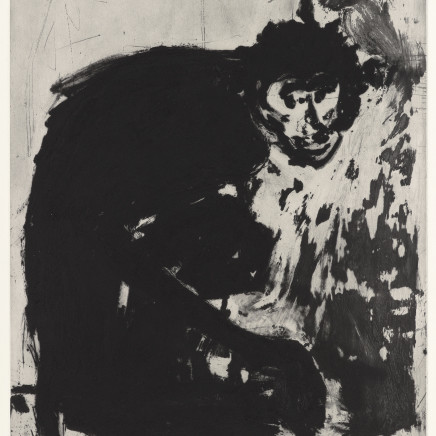 Astrid de La Forest, Singe inquiet, 2008