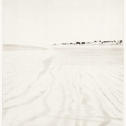 Maurice Maillard, "S'en retourner vers le Comté des sables", 2019