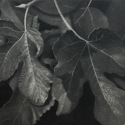 Judith Rothchild, Le Figuier, 2023