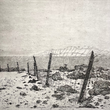 Charles Donker, Eems II - Achter Eemshaven (Witte kwikstaart), 2024